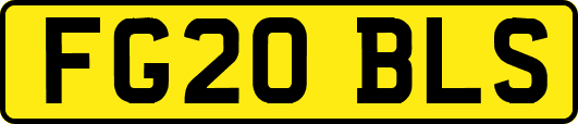 FG20BLS