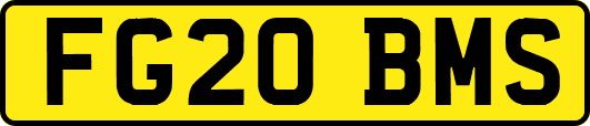 FG20BMS