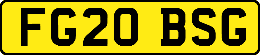 FG20BSG
