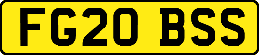 FG20BSS