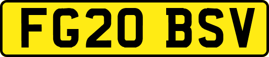 FG20BSV