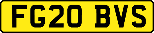 FG20BVS