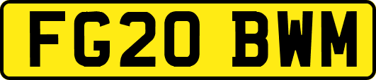 FG20BWM