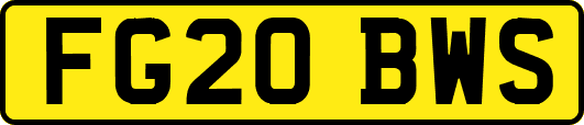 FG20BWS