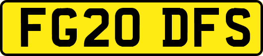 FG20DFS