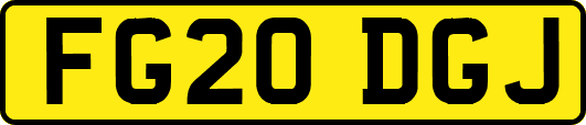 FG20DGJ