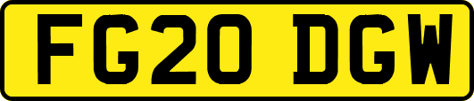 FG20DGW