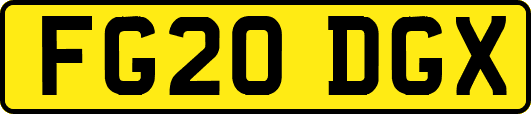 FG20DGX