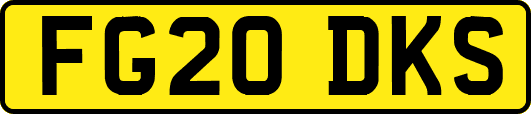 FG20DKS