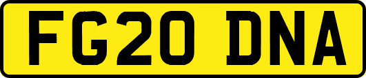 FG20DNA