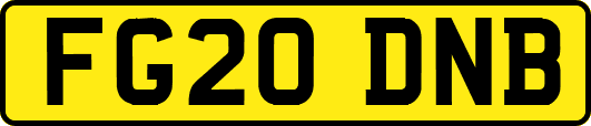 FG20DNB