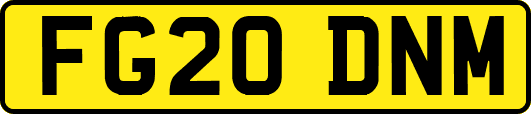 FG20DNM