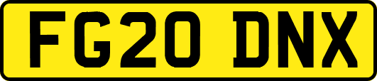 FG20DNX