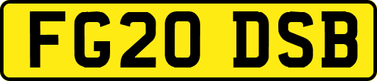 FG20DSB