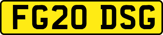 FG20DSG