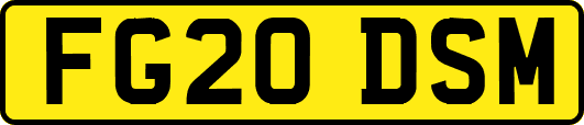 FG20DSM