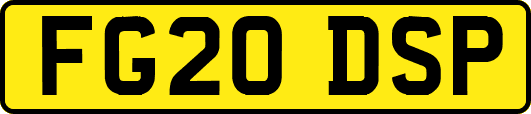 FG20DSP