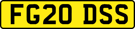 FG20DSS