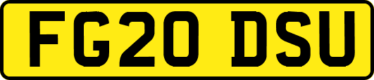 FG20DSU