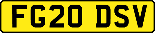 FG20DSV