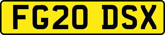 FG20DSX