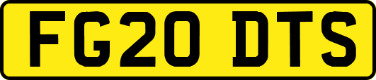 FG20DTS