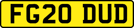 FG20DUD
