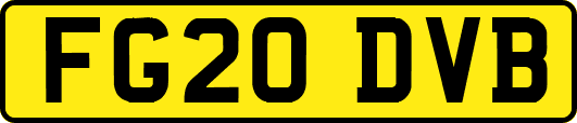 FG20DVB