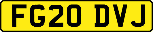 FG20DVJ