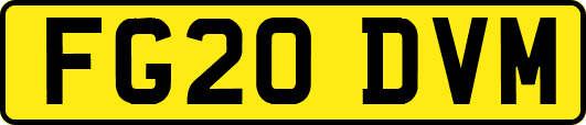 FG20DVM