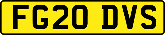 FG20DVS