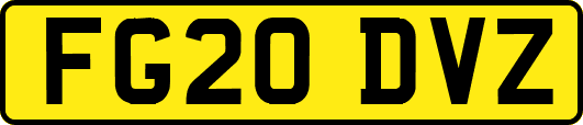 FG20DVZ