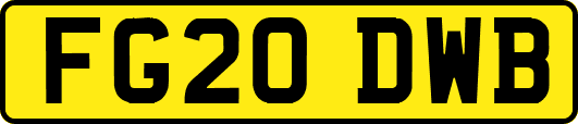 FG20DWB