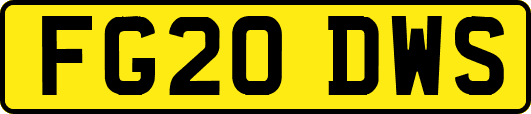 FG20DWS
