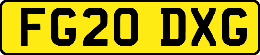 FG20DXG