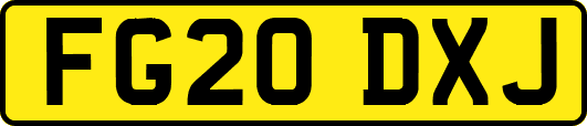 FG20DXJ