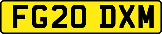 FG20DXM