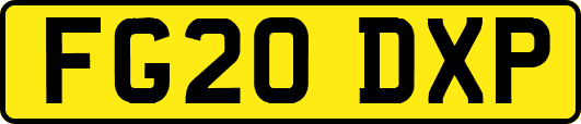 FG20DXP