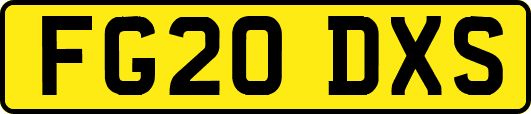 FG20DXS