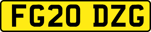 FG20DZG