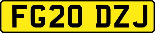 FG20DZJ