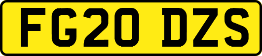 FG20DZS