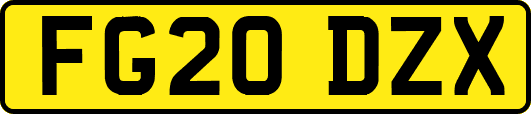 FG20DZX