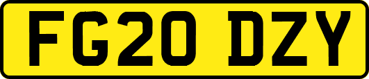 FG20DZY