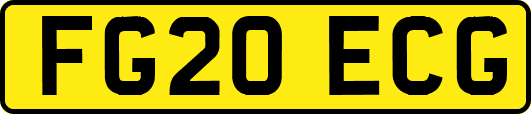 FG20ECG