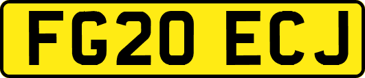 FG20ECJ