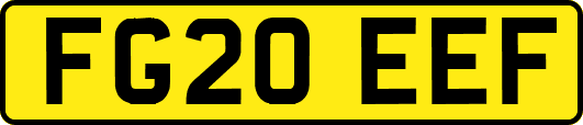 FG20EEF