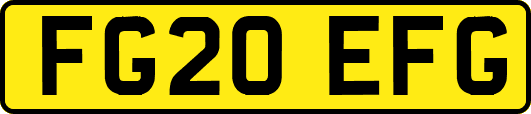 FG20EFG