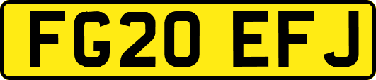 FG20EFJ