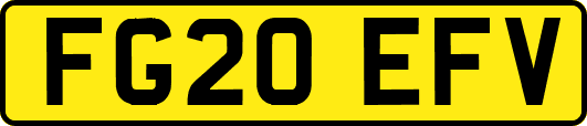 FG20EFV